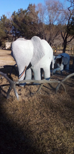 عکس پارک مسافر