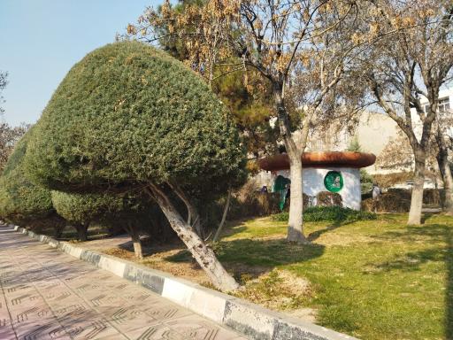 عکس دفتر فضای سبز و بوستان رسالت