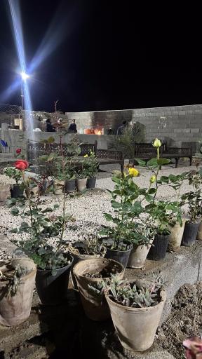 عکس کافه باغ تک درخت