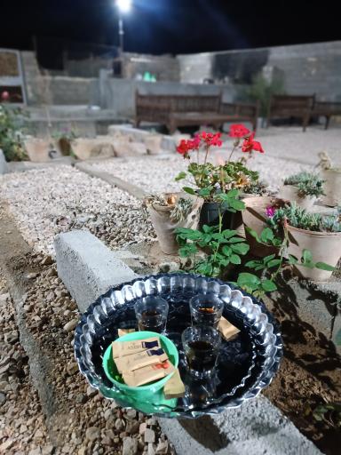 عکس کافه باغ تک درخت