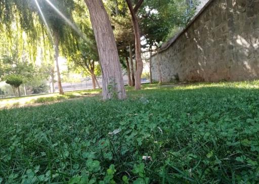 عکس فضای سبز