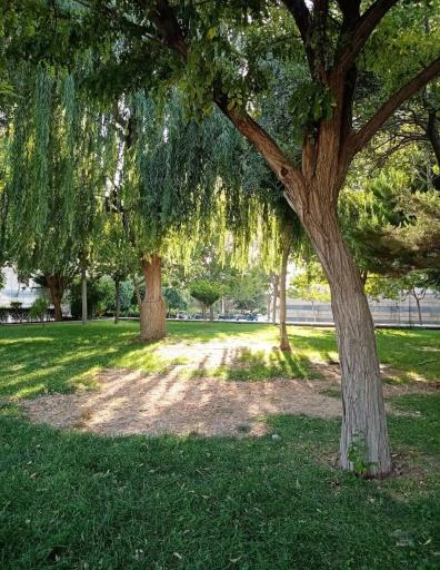 عکس فضای سبز