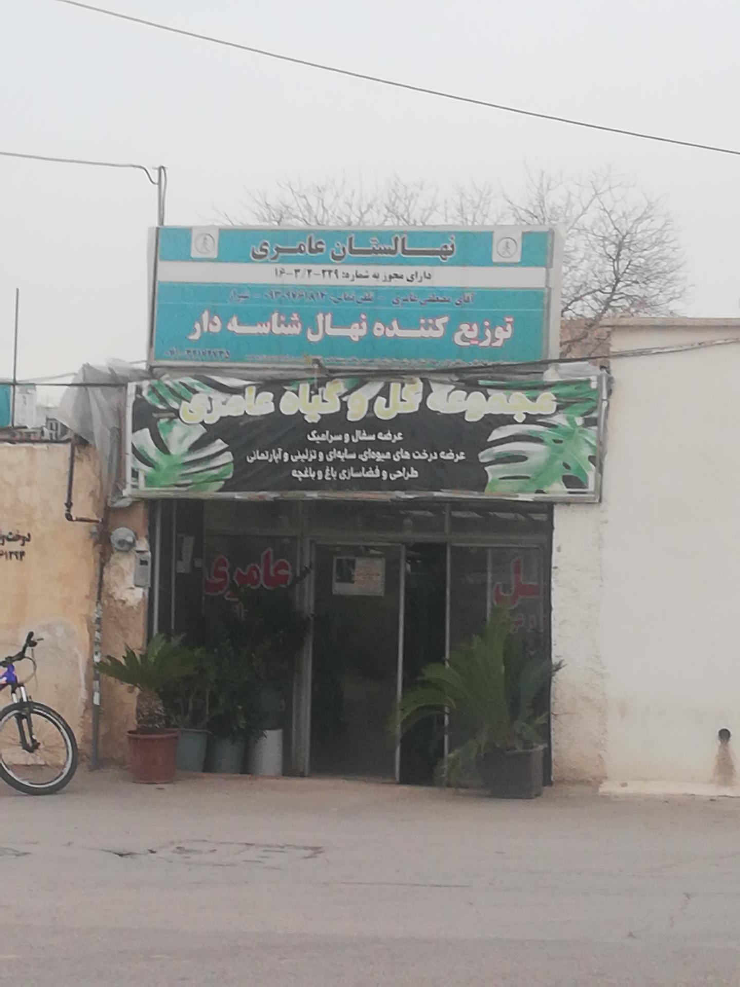 عکس نهالستان عامری