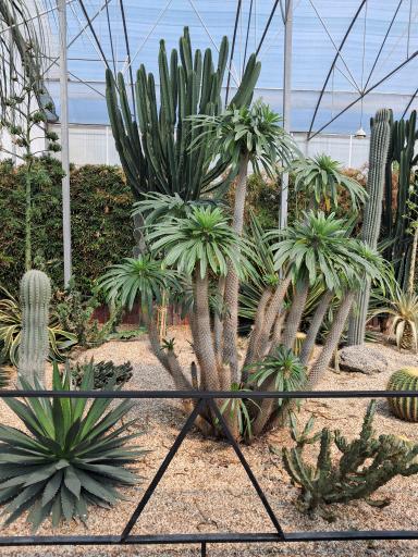 عکس گلسرای بهار