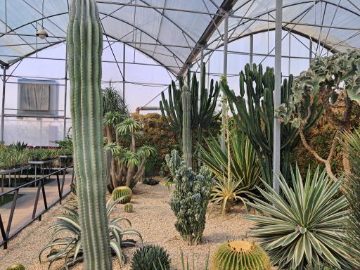 عکس گلسرای بهار