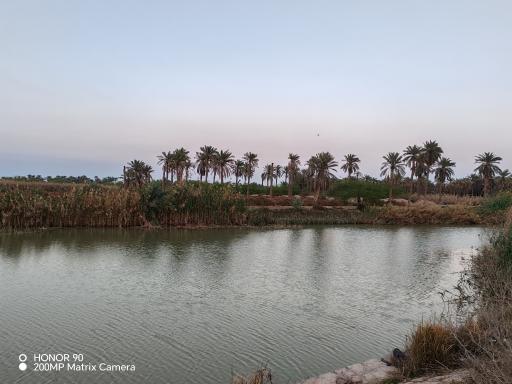 عکس رودخانه بهمنشیر