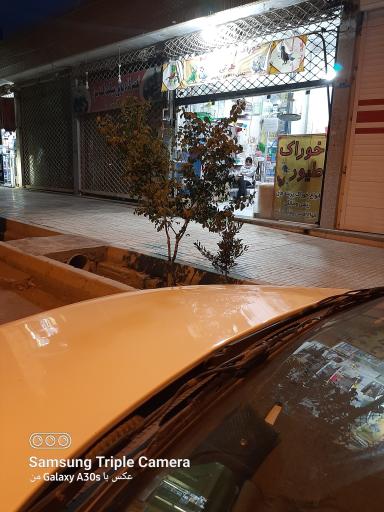 عکس خوراک طیور