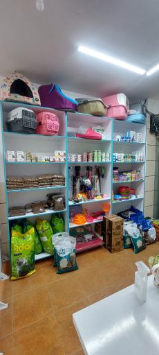 عکس کلینیک دامپزشکی نوبل 