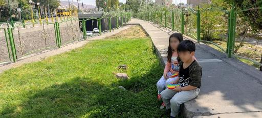 عکس فضای سبز