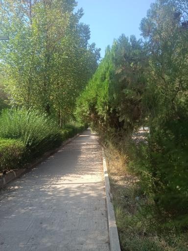 عکس بوستان لاله نراق