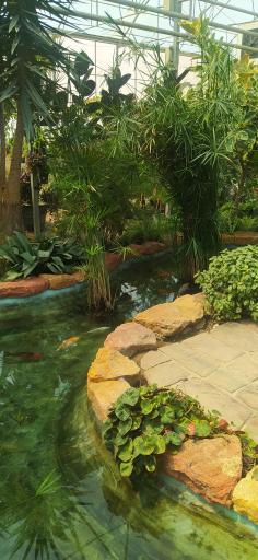 عکس گلسرای بهار