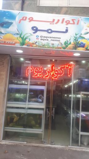 عکس فروشگاه آکواریوم نمو 