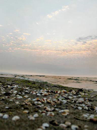 عکس هتل ساحلی باران