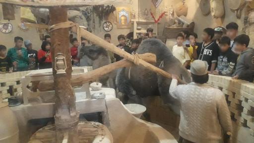 عکس آسیاب شتر بابا قدرت