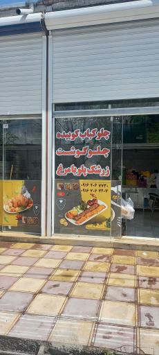 عکس طباخی پدیده 