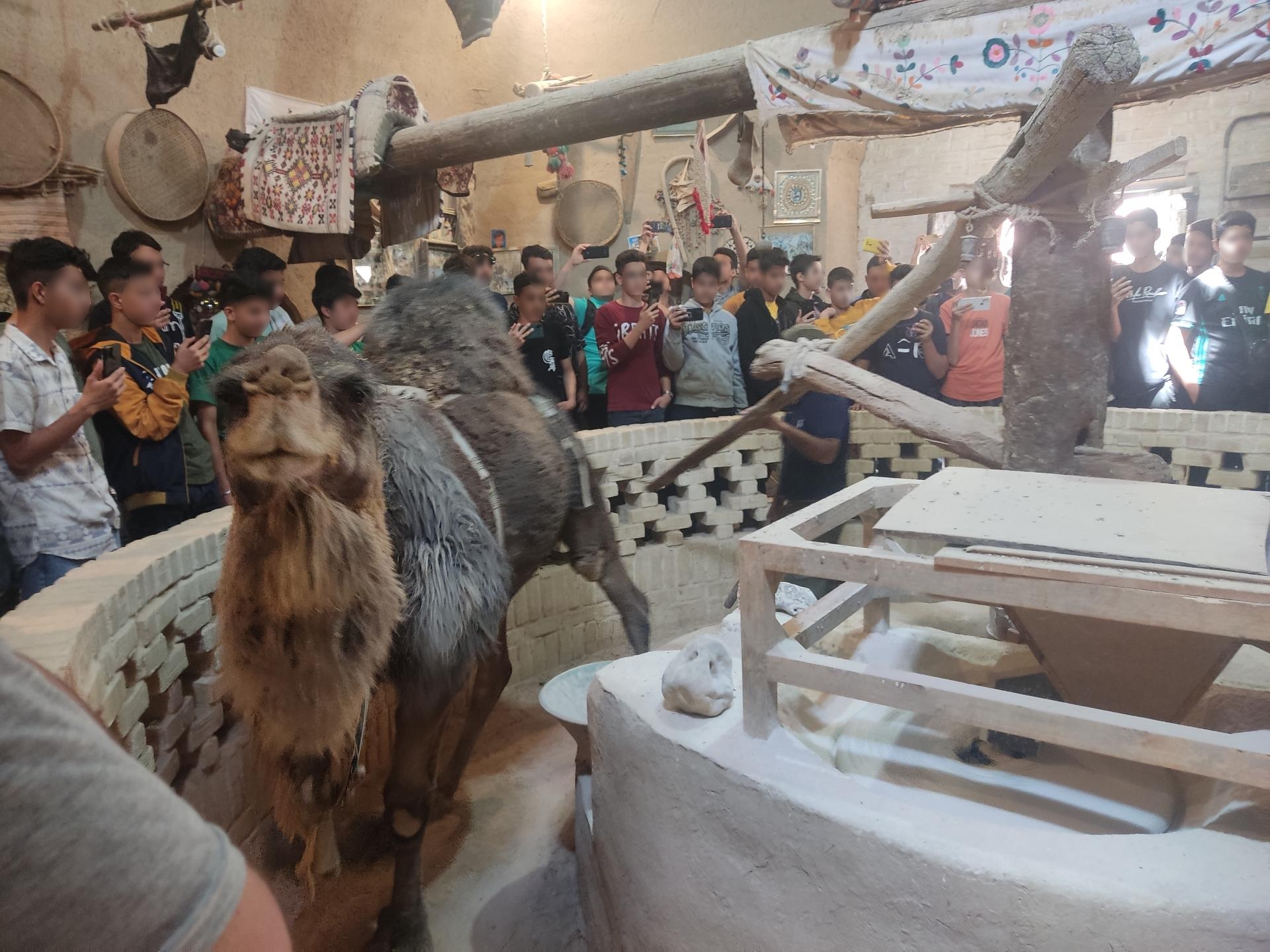 عکس آسیاب شتر بابا قدرت