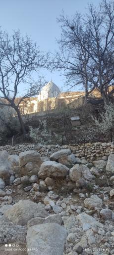 عکس امامزاده یحیی