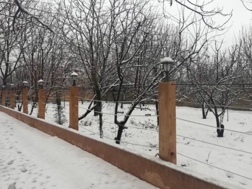 عکس باغ بلوط