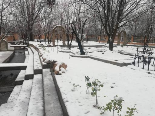 عکس باغ بلوط