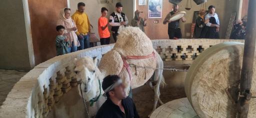 عکس آسیاب شتر بابا قدرت