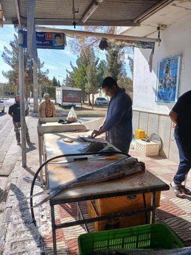 مرغ وماهی مرواریدخرمشهر