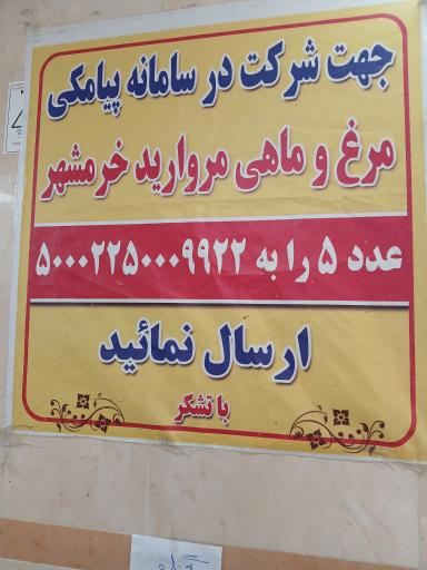 عکس مرغ وماهی مرواریدخرمشهر
