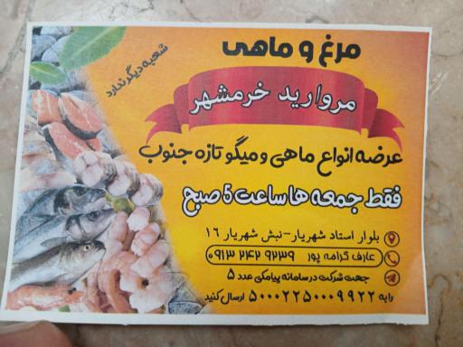 عکس مرغ وماهی مرواریدخرمشهر