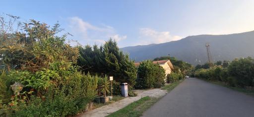 عکس رستوران سنتی تمشک
