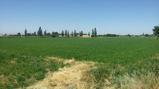 عکس مهاجران