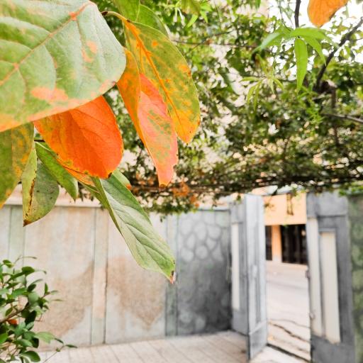 عکس آموزشگاه صنایع غذایی رنگینه