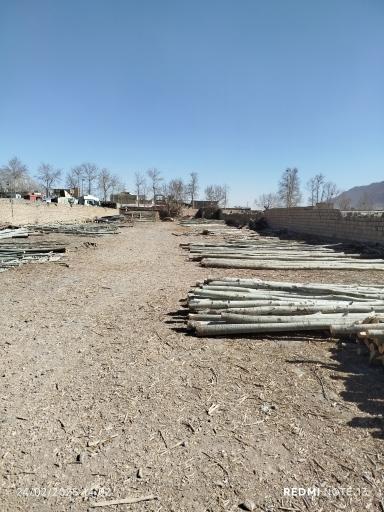 چوب فروشی محسن صادقی