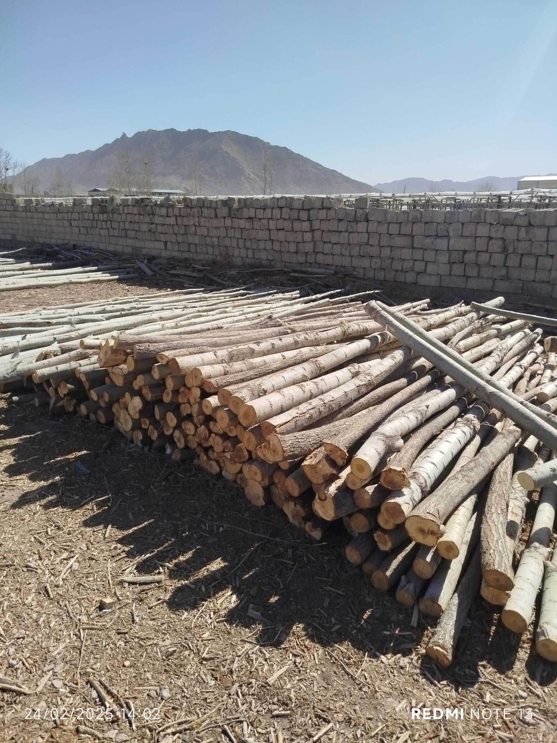 عکس چوب فروشی محسن صادقی