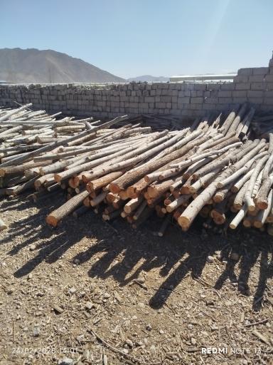 چوب فروشی محسن صادقی