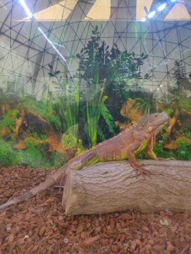 عکس پارک کروکدیل ها