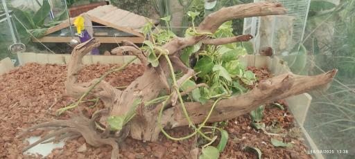 پارک کروکدیل ها