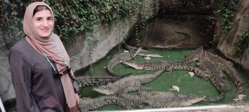 پارک کروکدیل ها