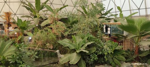 پارک کروکدیل ها