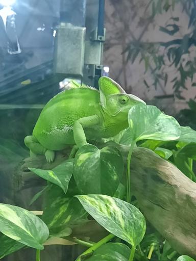 پارک کروکدیل ها