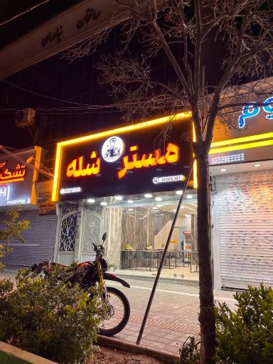 عکس مستر شله