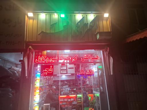 عکس الکتریکی فجر