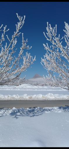 عکس فرادنبه