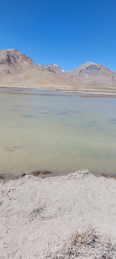 عکس فرادنبه