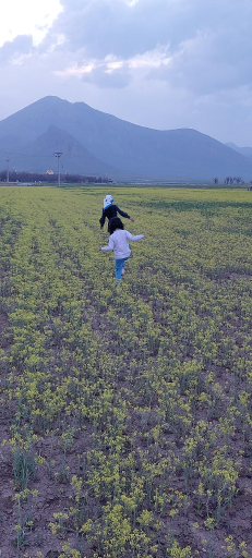 عکس فرادنبه