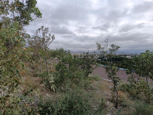 عکس پارک داغلار باغی
