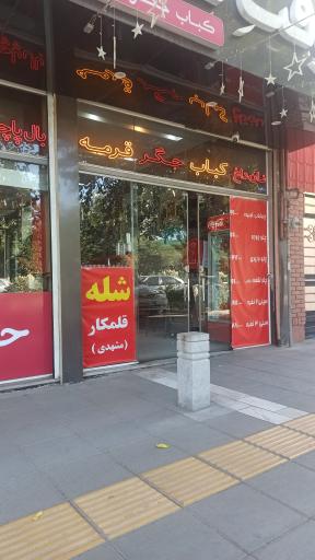 عکس وقت کباب