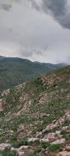 عکس سرچشمه ی چنارانشهر