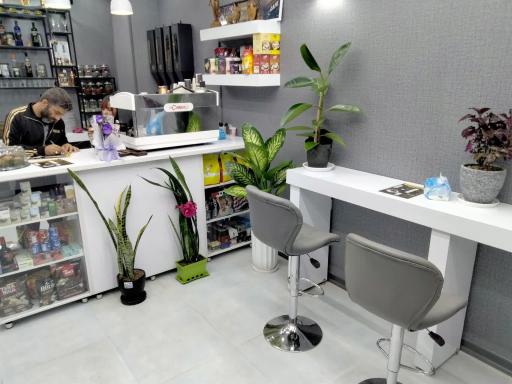 عکس کافه میمو