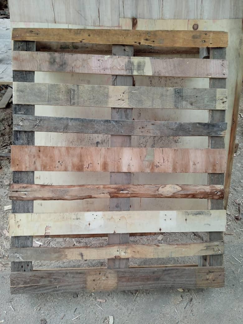 عکس پالت سازی نوئل