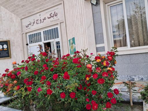 عکس سالن ورزشی بابک مروج تربتی