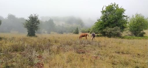 عکس دره اوپرت